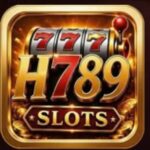 H789.com Game Logo