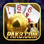 PAK3 Game Logo
